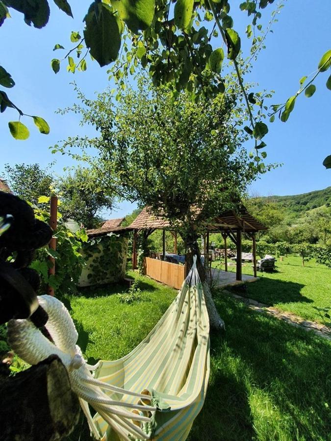 Valchid Guest House Экстерьер фото