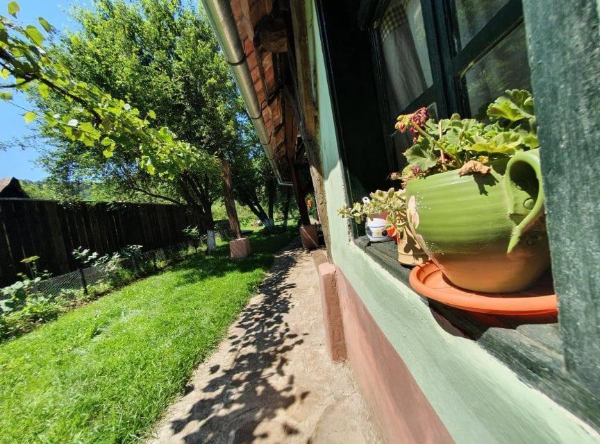 Valchid Guest House Экстерьер фото