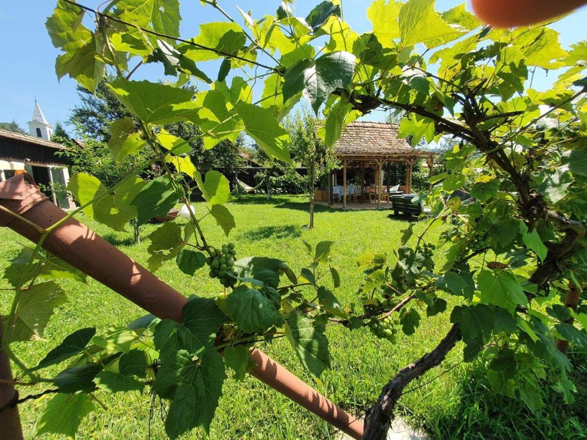 Valchid Guest House Экстерьер фото
