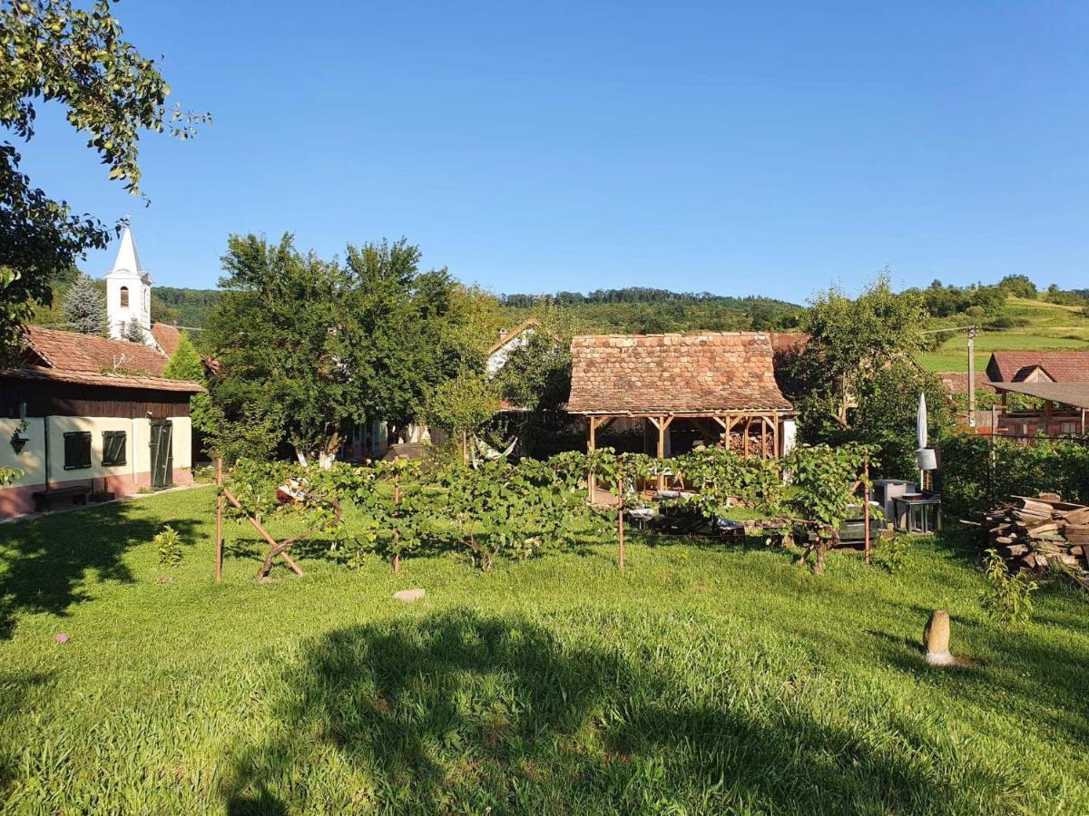 Valchid Guest House Экстерьер фото