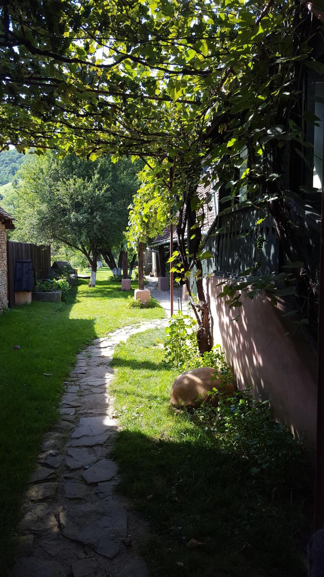 Valchid Guest House Экстерьер фото
